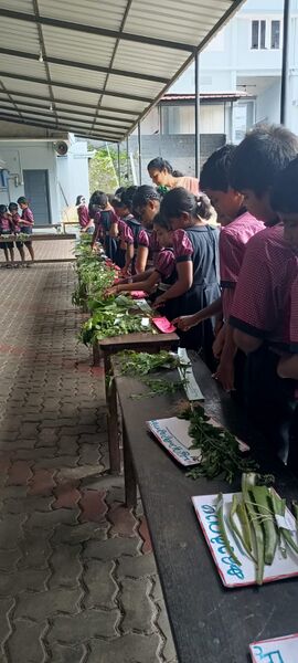 പ്രമാണം:25044 LP Exhibition-oushadasasyam2.jpg