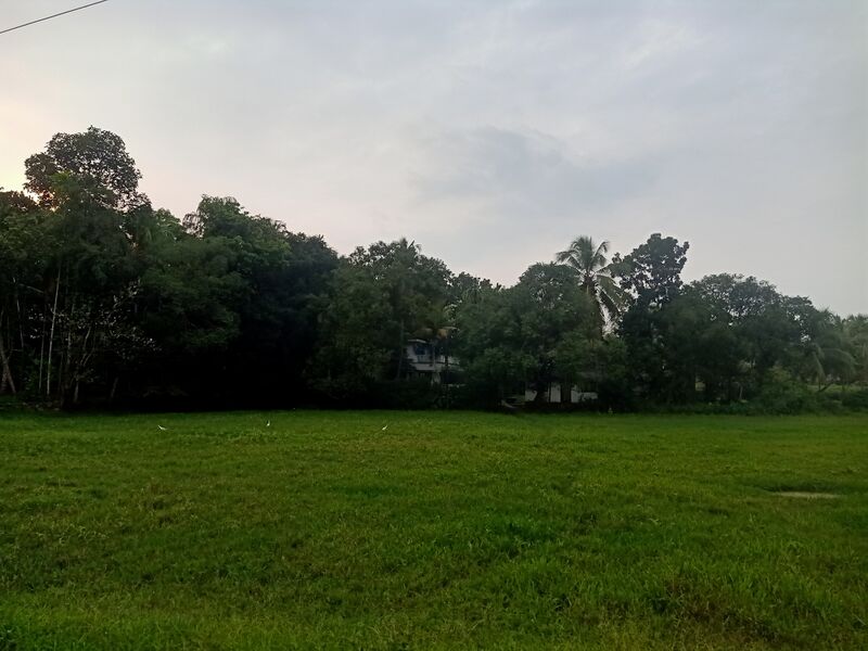 പ്രമാണം:25105 field 3.jpg