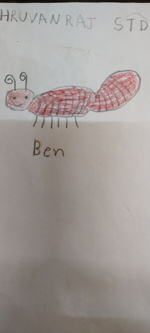 26255-EKM-KUNJU-DHRUVAN RAJ.resized.jpg