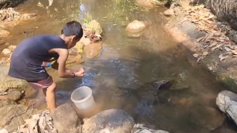 പ്രമാണം:29228 meen.png