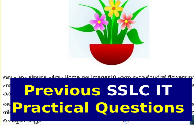 പ്രമാണം:34024 Flower 12.png