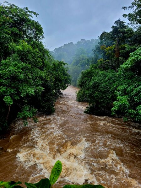 പ്രമാണം:42610 ENTE GRAMAM3.jpg