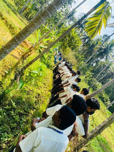 പ്രമാണം:44018 ela 58.jpg