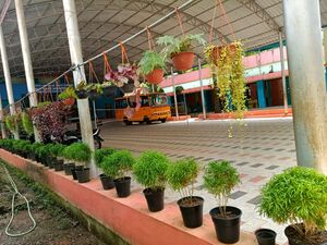 44055 hanging garden1.jpeg