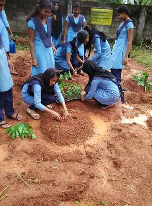 48049-vhs field work.jpeg