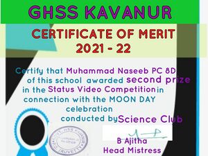 Certificate of Merit Muhammed Naseeb PC 8 D.jpg