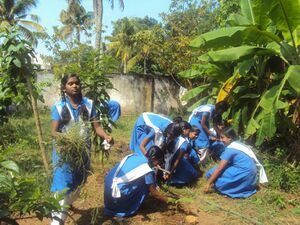 Cleaning 16 35052 (1).jpg