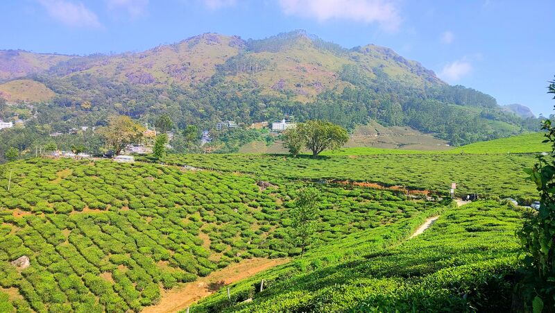 പ്രമാണം:Ente gram29036.jpeg