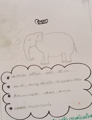 IMG 20240311 173852.jpg