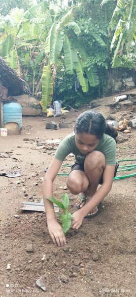 പ്രമാണം:World environment day 2026.jpg