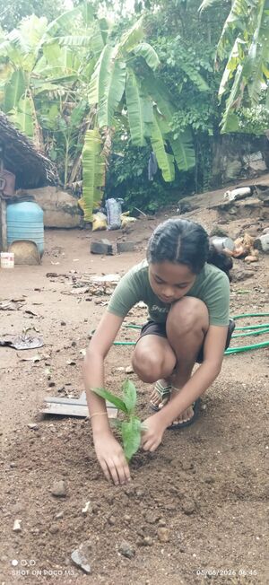 World environment day 2026.jpg