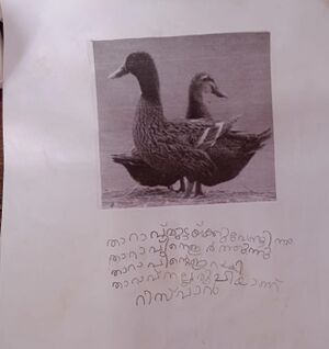 11471-KGD-SWALIHA.jpg