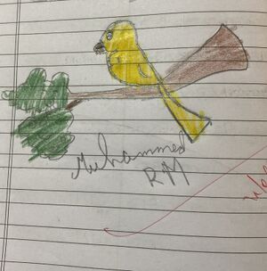 13110-KNR-KUNJ-MUHAMMED R M.jpeg