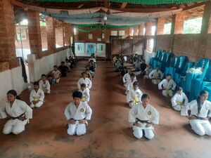 13373-karate.jpeg