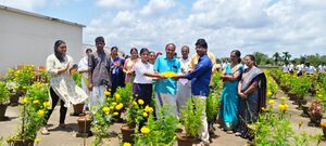 14057 vilavetuppu1.jpeg