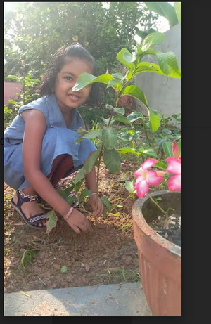 14363 schoolwiki2.png