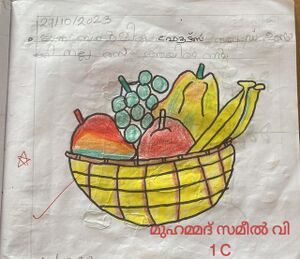 14746-KNR-MUHAMMED ZAMEEL V.resized.jpg