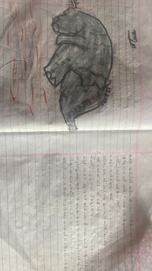 19645-MLP-KUNJ-FATHIMA HIBA.jpg