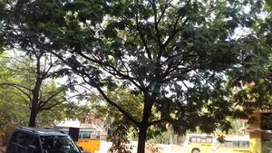 20190327 100540.resized.jpg