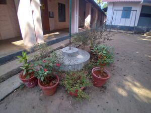 29312 environmentclub20.jpeg