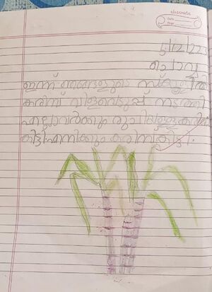 29365-IDK-KUNJ-ANJALINA SINTO.jpeg