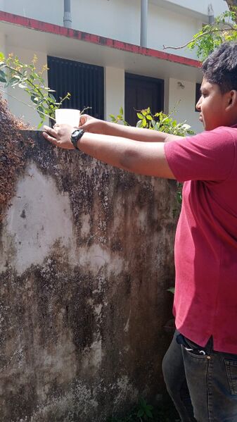 പ്രമാണം:36053 620 .jpeg