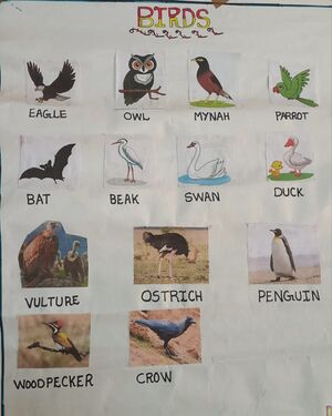 38633-PTA-KUNJ-AYIN ASHIK.jpeg