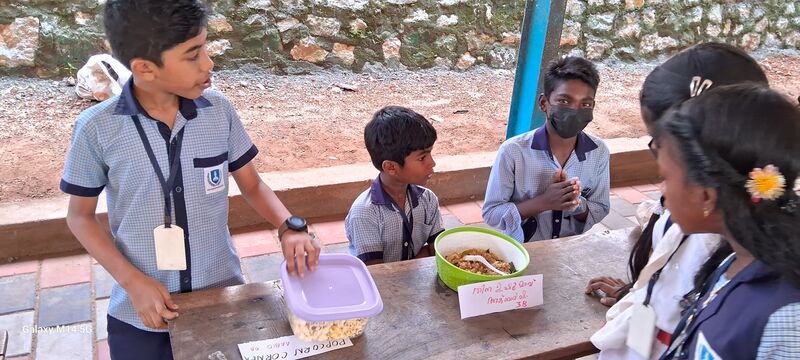 പ്രമാണം:42030 Millets3.jpg