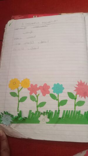 48431-MLP-KUNJ-HANOONA HANI.jpg