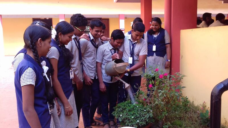 പ്രമാണം:Sch thottam1.jpeg