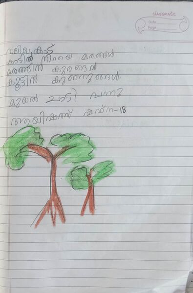 പ്രമാണം:12315-KGD-KUNJ-AYISHATH SHAFNA.jpg