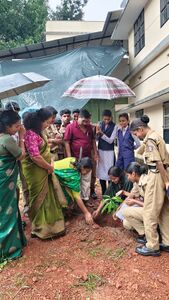 പരിസ്ഥിതി ദിനാഘോഷം