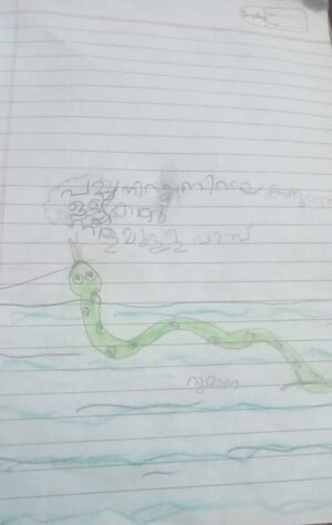 16305-KKD-KUNJ-AYISHA RUMANA.jpeg