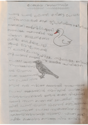16472-KKD-KUNJ-CROW2.png