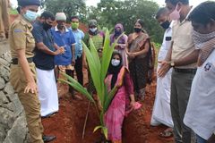 സ്കൂളിലെ അധ്യാപകരുടെ വകയായുള്ള തെങ്ങിൻ തൈ നടീൽ ഉദ്ഘാടനം - പഞ്ചായത്ത് പ്രസിഡണ്ട്.