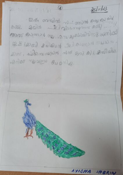 പ്രമാണം:18737-MLP-AYISHA SHERIN 1B.jpg