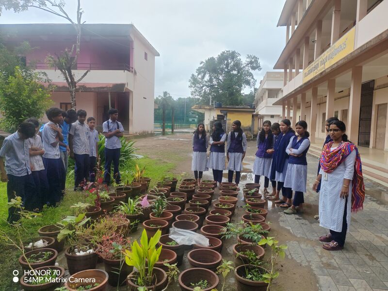 പ്രമാണം:19055-gardening 2026.jpg