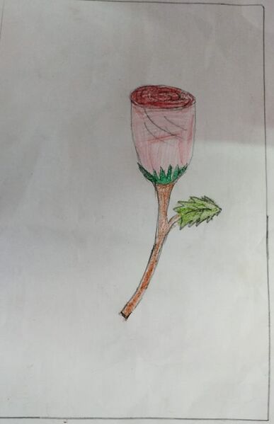 പ്രമാണം:21892-PKD-KUNJ-HAMDA FATHIMA STD 1.jpeg