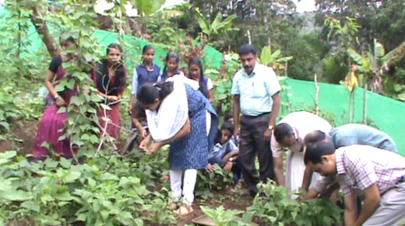 പ്രമാണം:30065 114 crop.png