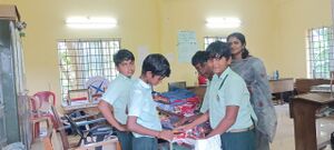 34013seed cloth 24d.jpg