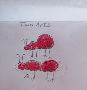 34245-ALP-KUNJ-DHEERAJ KRISHNA R.jpeg