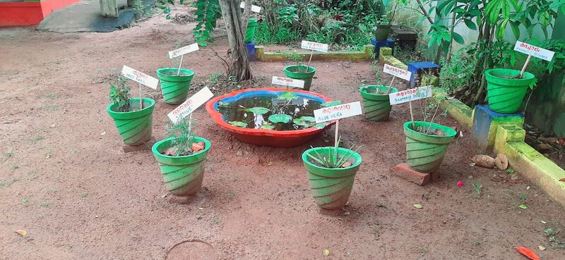 പ്രമാണം:35211p 21.jpeg