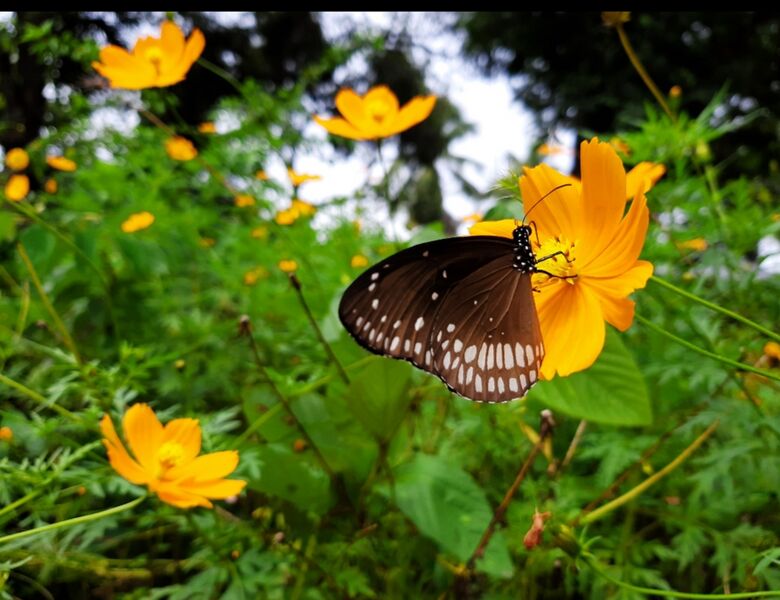 പ്രമാണം:43244 b5.jpg