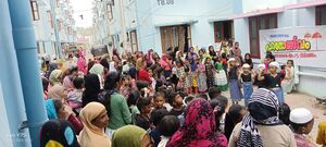 44223 padanol flat skit.jpg