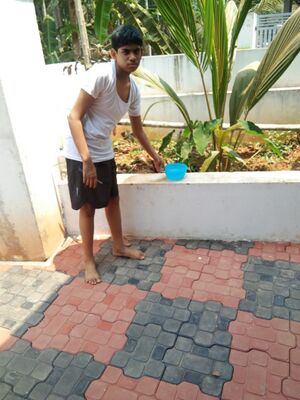 47089 PARAVAhilal.jpeg