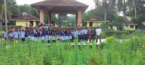 TSR 22071 UPTRIP.jpg