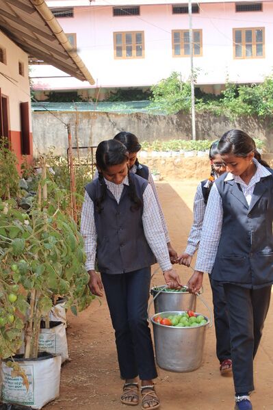 പ്രമാണം:Veg1young farmers in vegetable gardon.JPG