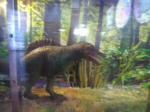 WhatsApp Image 2019-08-23 at 7.50.06 PM.jpeg