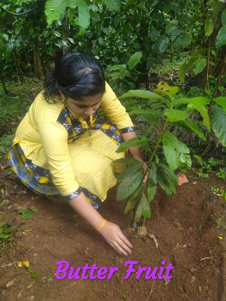 പ്രമാണം:15016 jrc100.jpeg