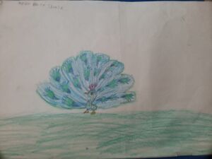 15303-WYD-KUNJ-ANAAM BINTH SHAMSU.jpg